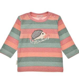 Langarm Shirt Blockringel Igel