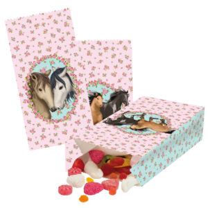 Partytüten Papier